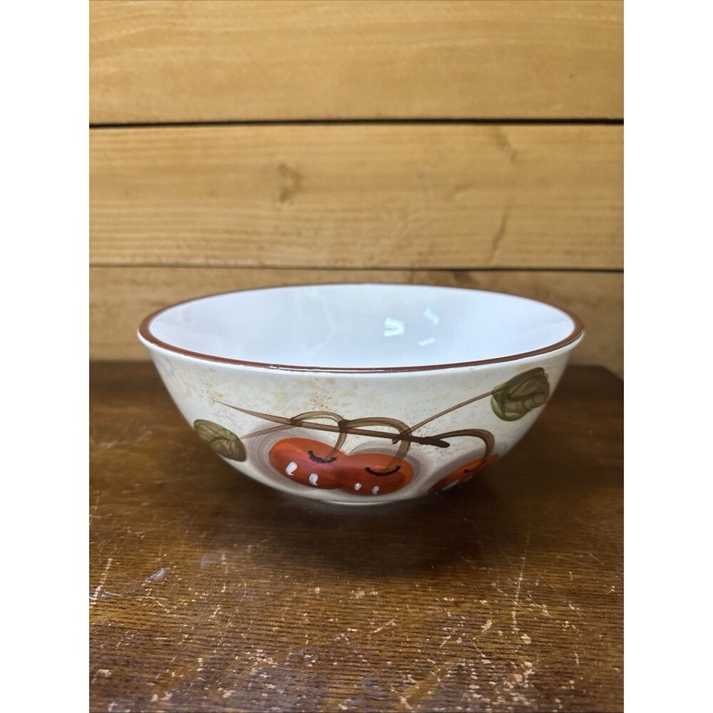 WCL Ceramic Mixing Bowl Serving Bowl  Variety Fruits Design